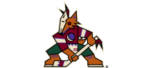 Arizona Coyotes 