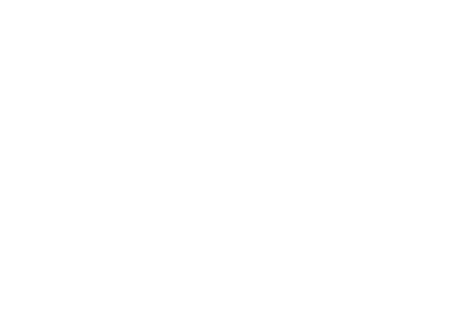 The Hawks 