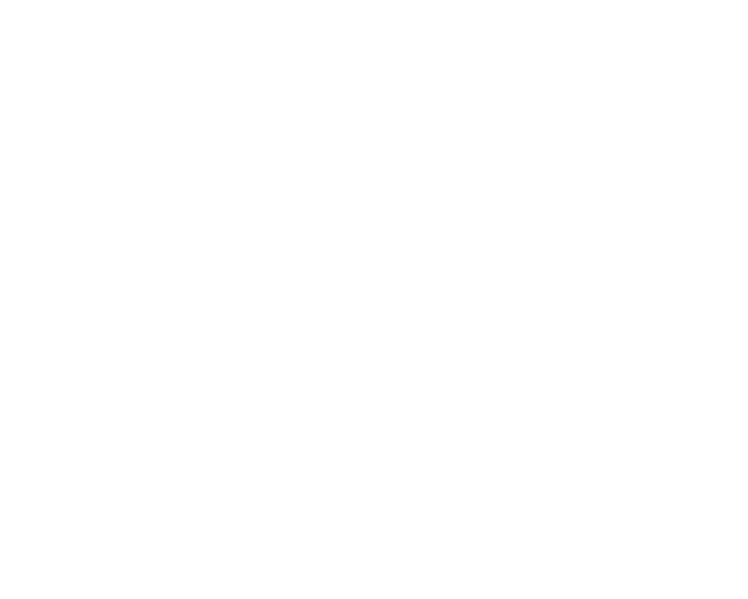 USF 
